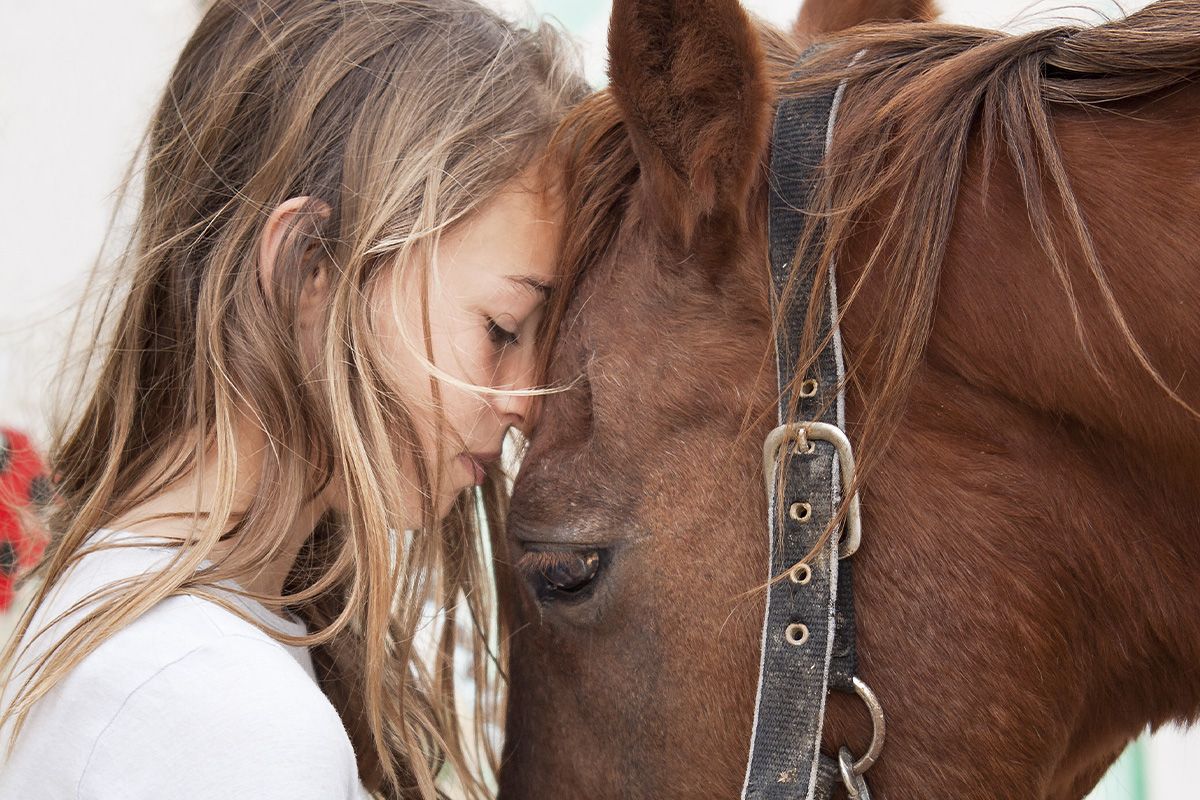 Equine Ergotherapie